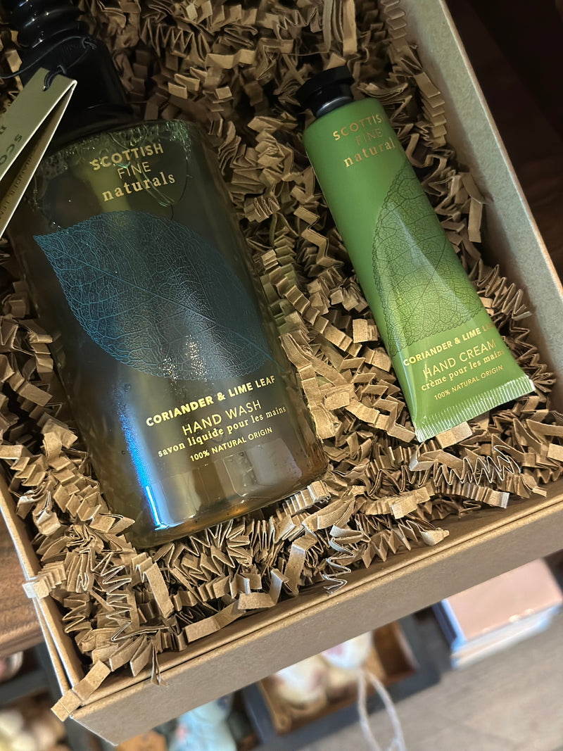 Hand wash & Hand Cream Set