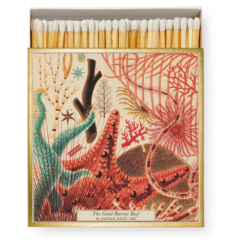 New Safety Matches (various)